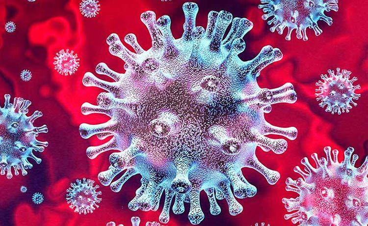 Fisiopatología I